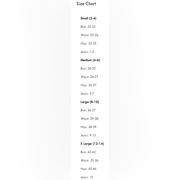 MOVING SALE!!$15!!Velvet Mesh Mini Dress - Picture 6 of 8